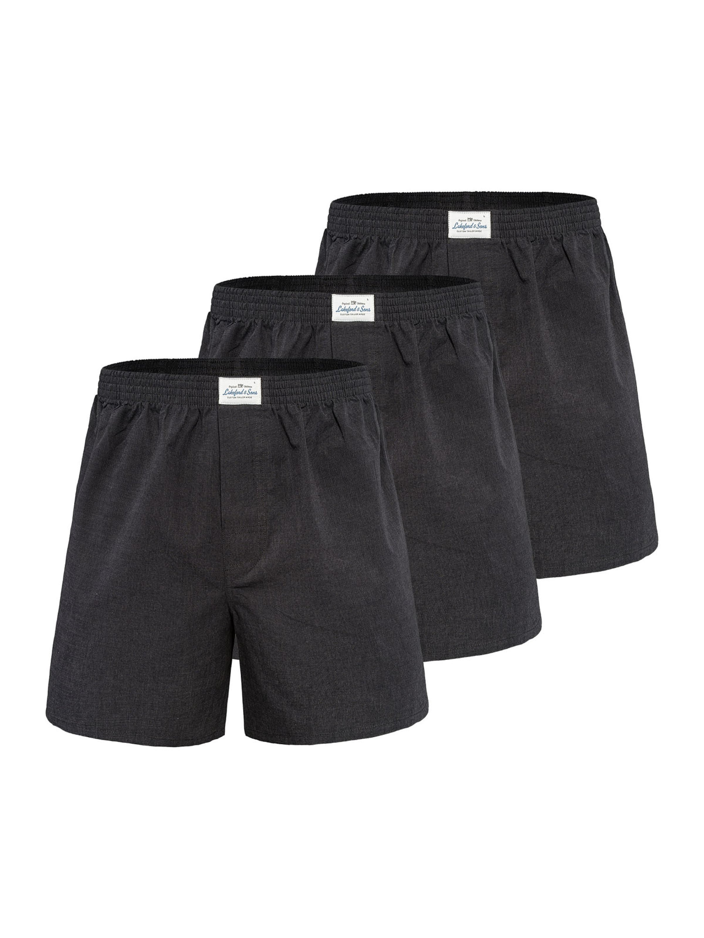 Lakeford & Sons Boxershorts in Schwarz: Vorderseite