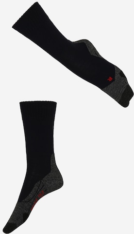 FALKE Sportsocken in Blue: front