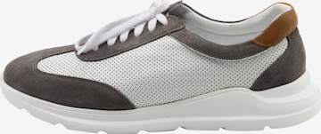 MO Sneakers in Mixed colors: front