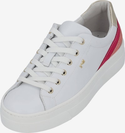 Nero Giardini Sneaker low  'E409932D' in mischfarben / weiß, Produktansicht