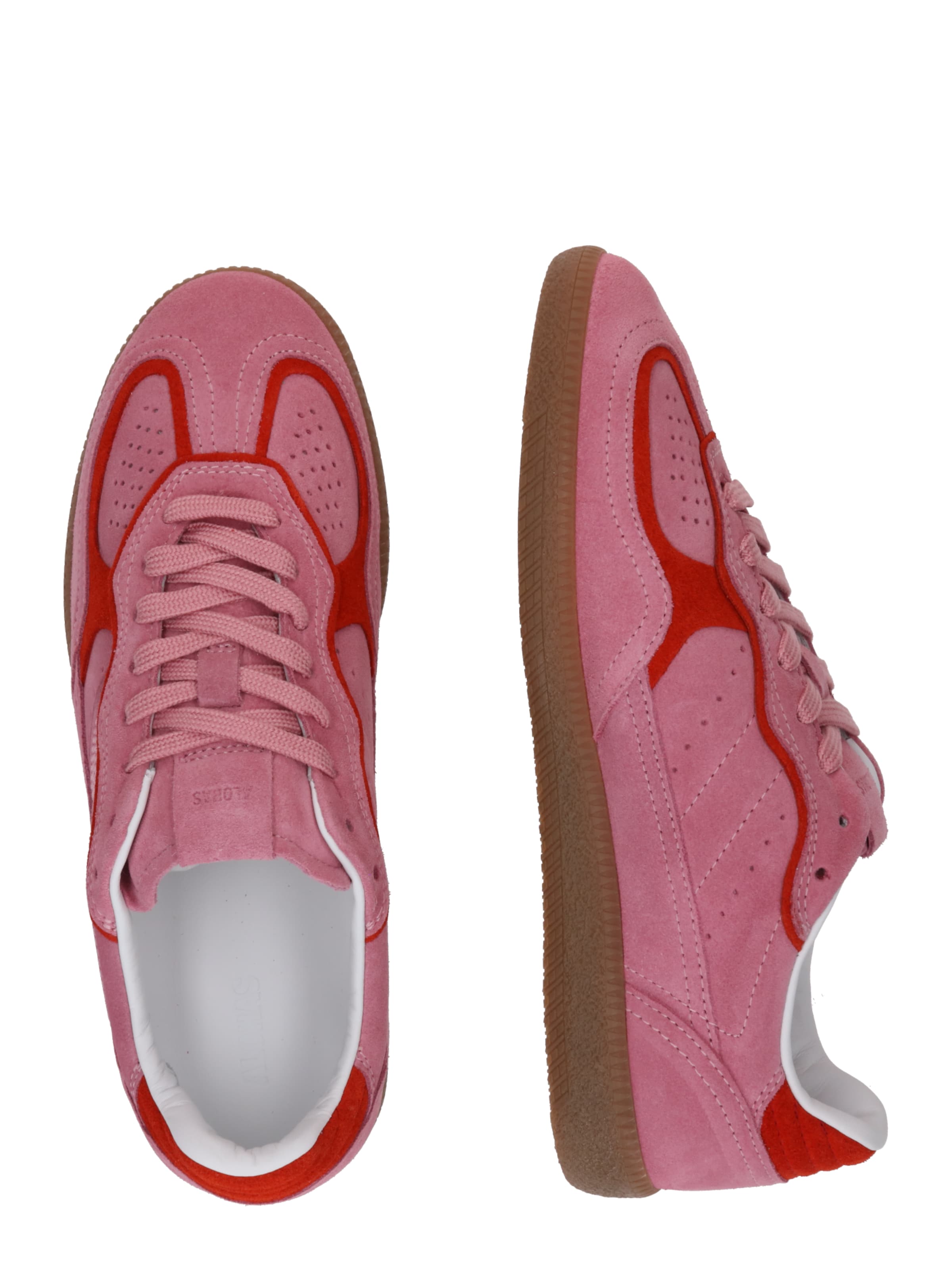 Alohas Σνίκερ χαμηλό 'Tb.490 Rife' σε ροζ