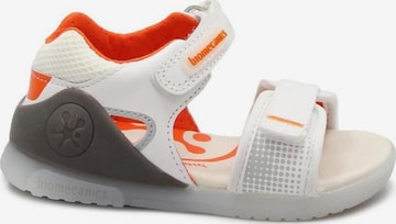 biomecanics Sandalen in Wit: voorkant