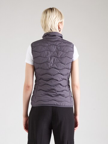 Gilet EA7 Emporio Armani en gris