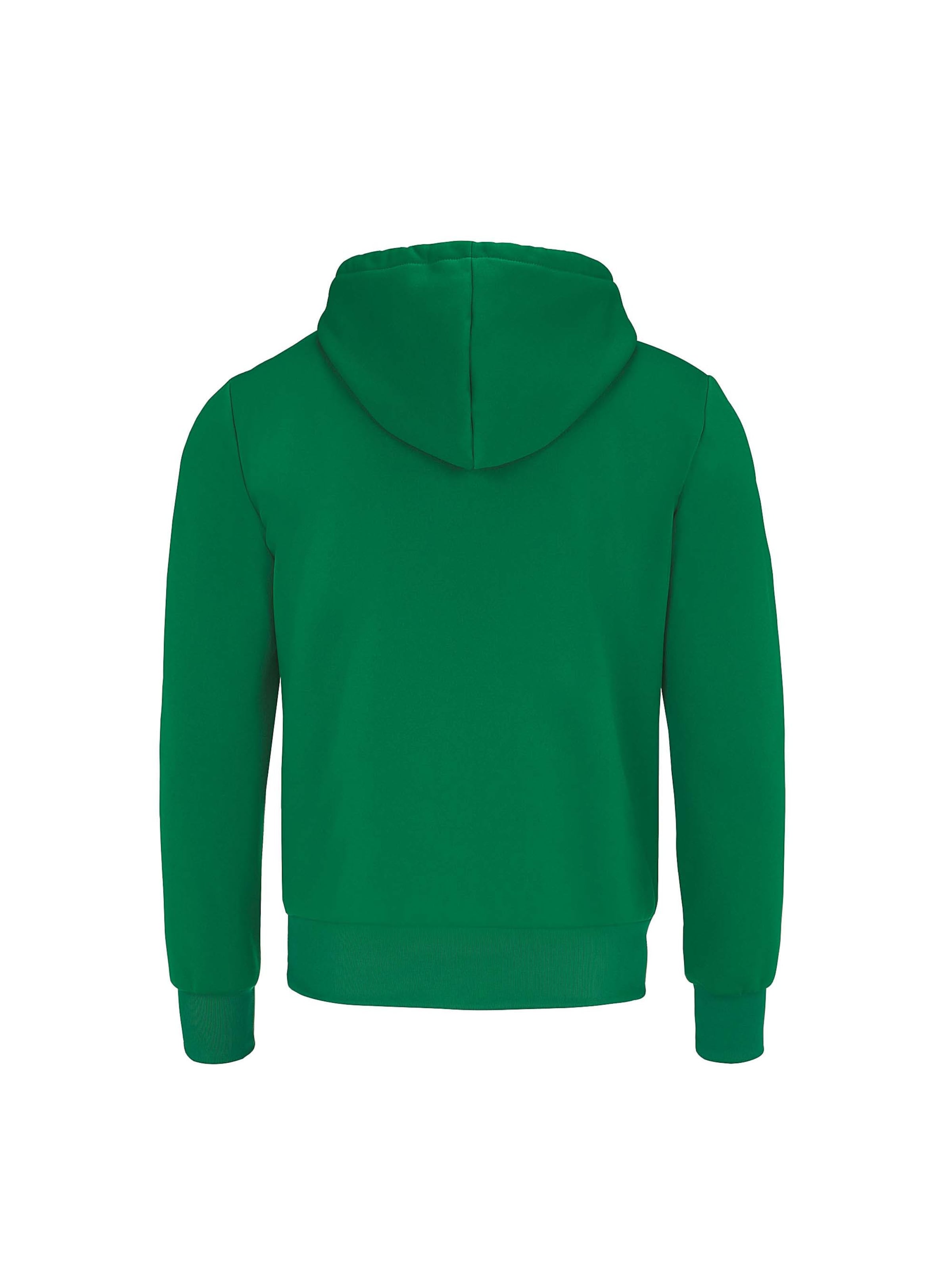 Errea Sports sweatshirt 'JONAS' in Green