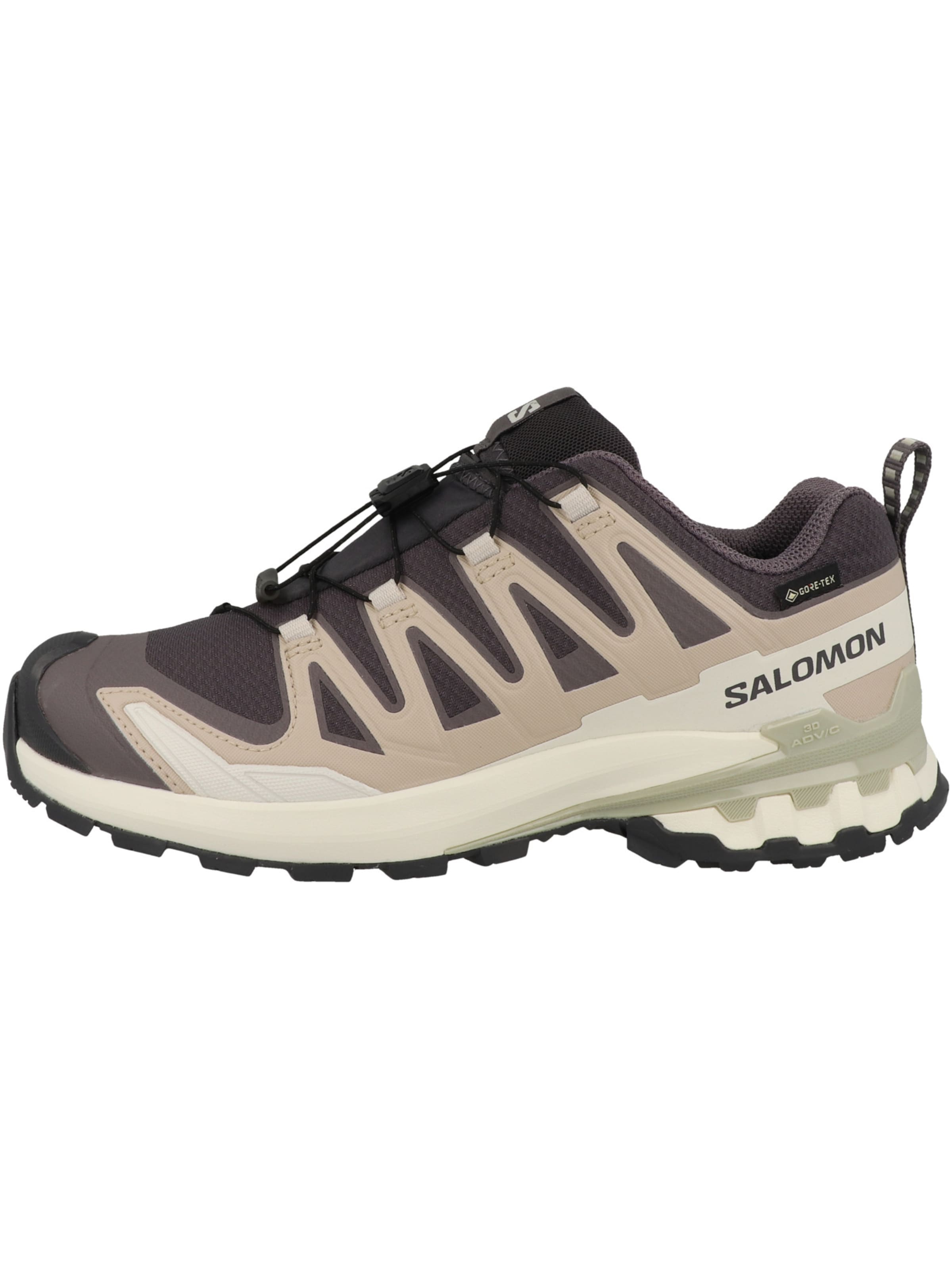 SALOMON Running Shoes 'XA Pro 3D V9' in Grey: front