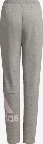 ADIDAS SPORTSWEAR Workout Pants 'Essentials French Terry' in Grey: front