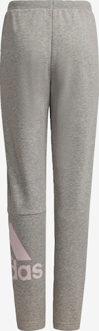 Pantalon de sport 'Essentials French Terry' ADIDAS SPORTSWEAR en gris : devant