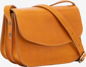 Viola Castellani Crossbody Bag in Yellow: front