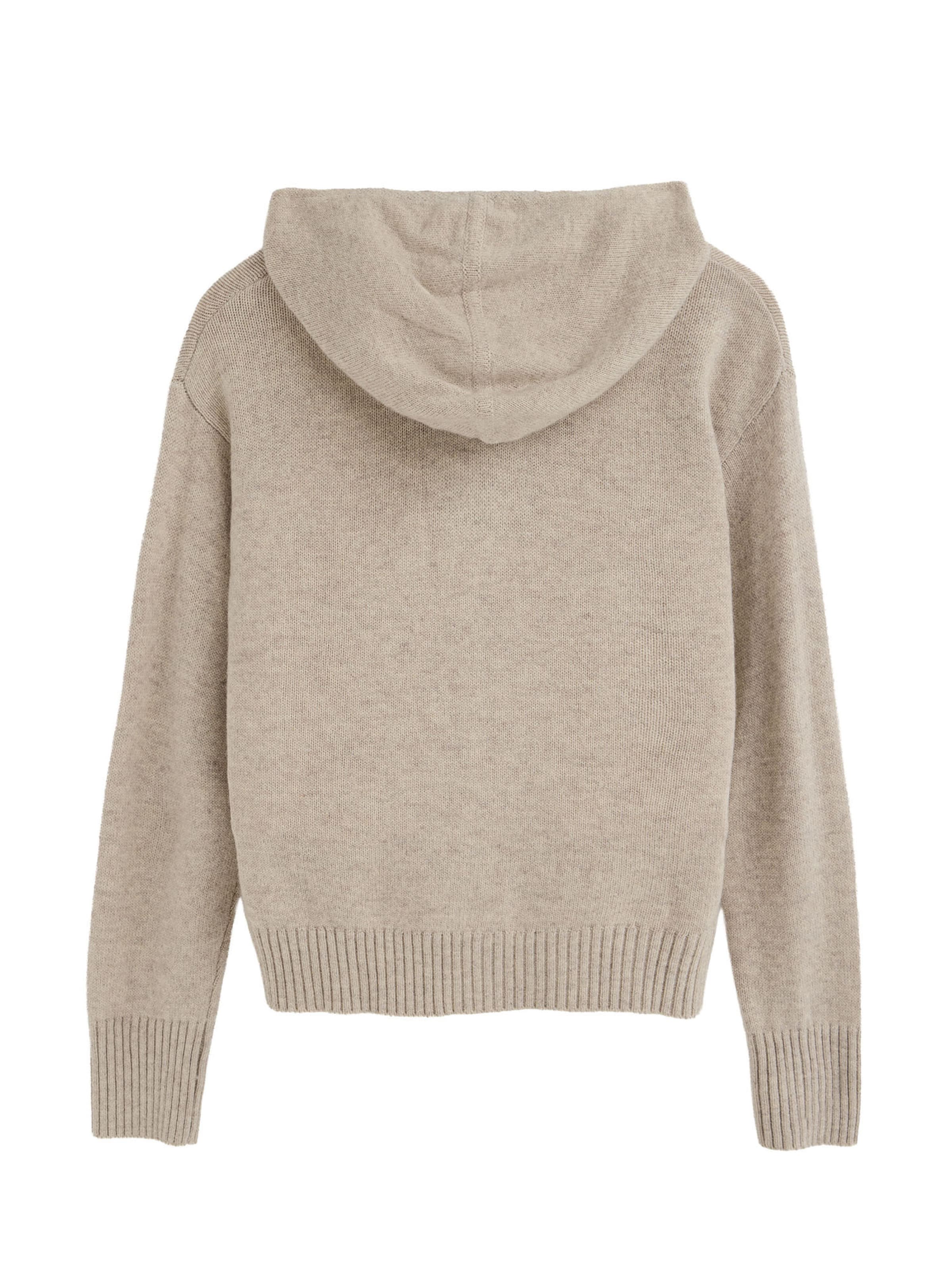 Polo Club Pullover in Beige