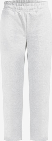 Pantalon 'Kanya' Smilodox en gris : devant