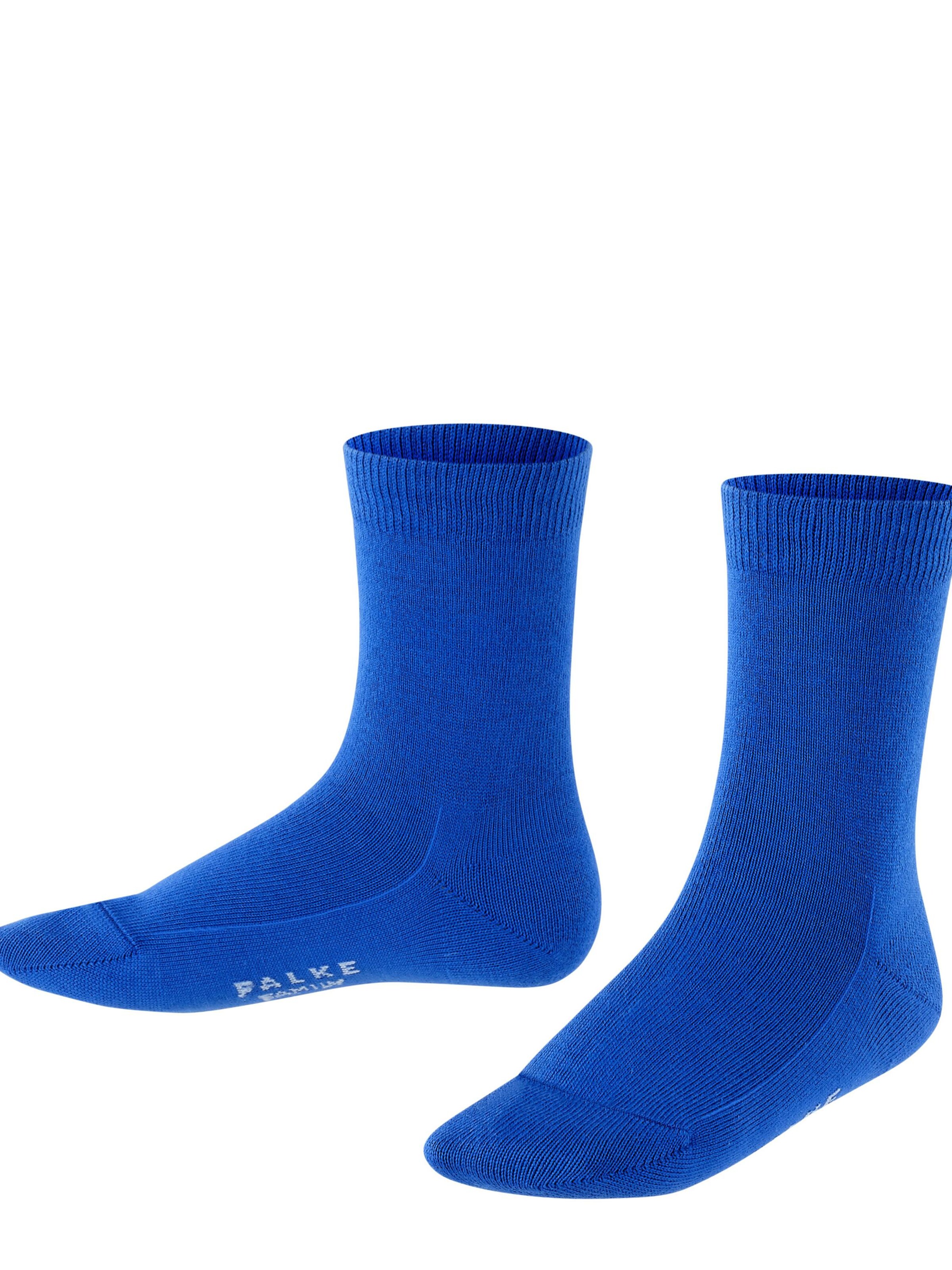 FALKE Socks 'Family' in Blue: front