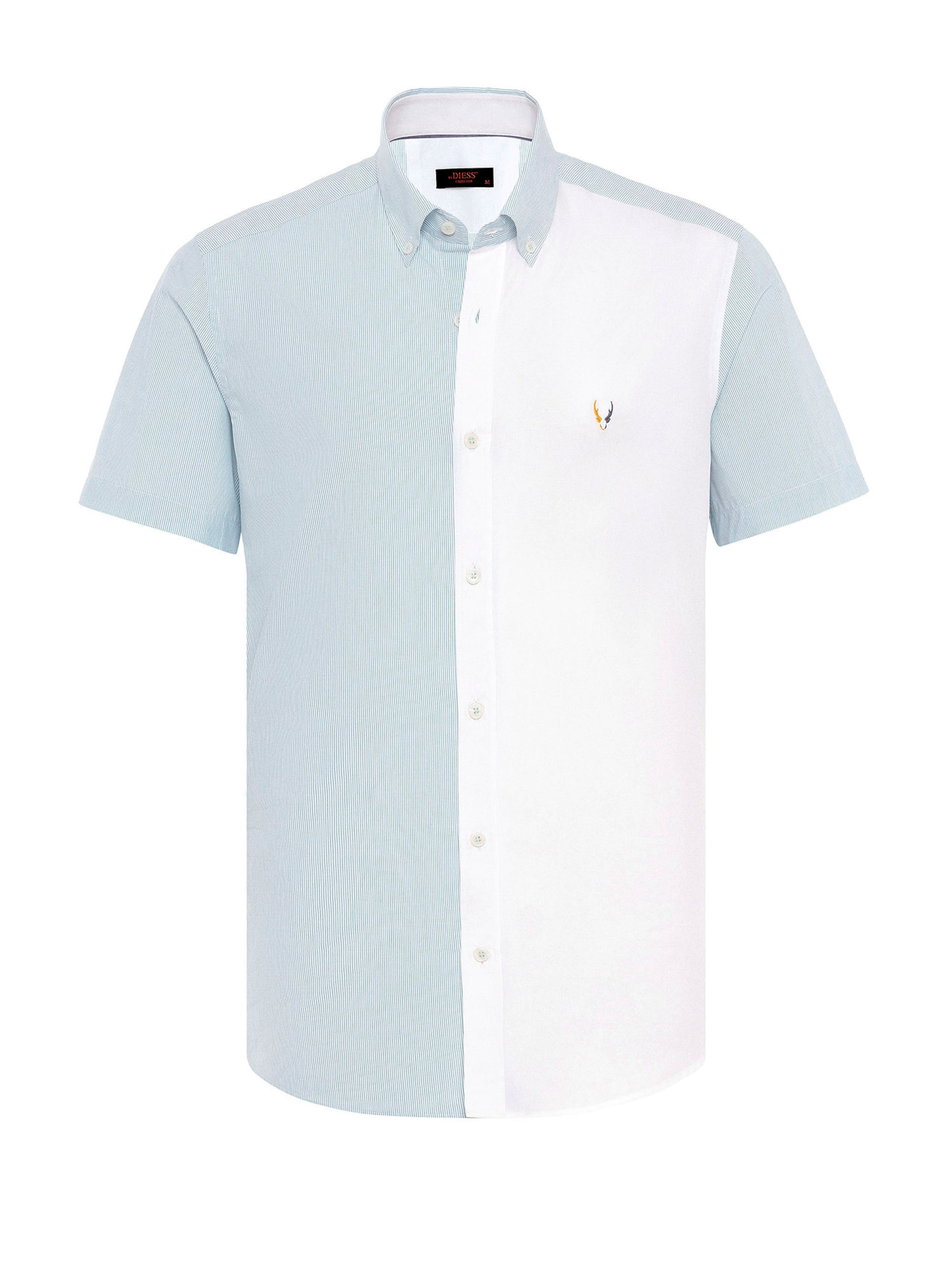 By Diess Collection Regular fit Πουκάμισο σε πράσινο: μπροστά