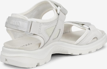 ECCO Hiking Sandals in Silver