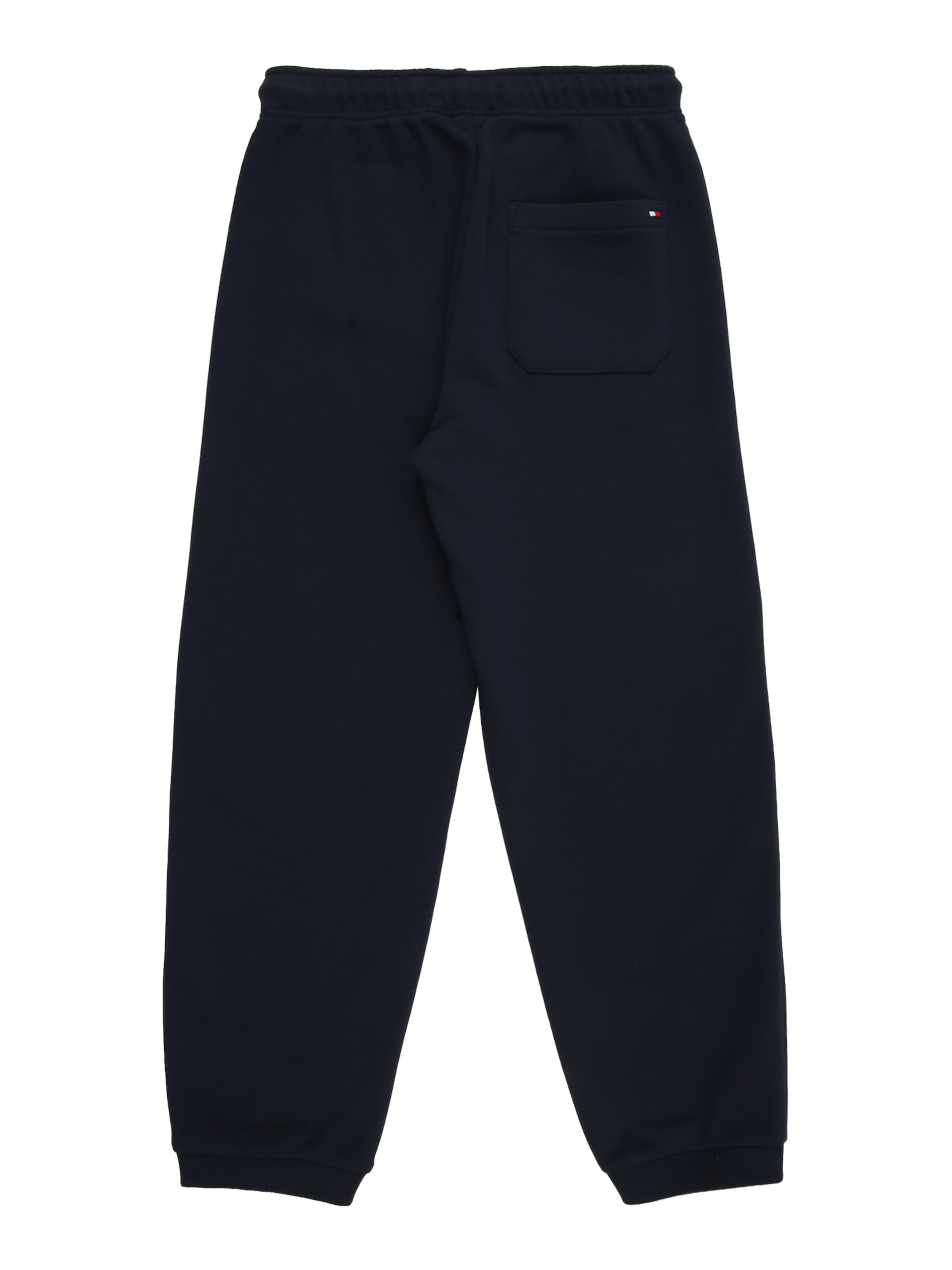 TOMMY HILFIGER Tapered Broek 'TEAM' in Blauw