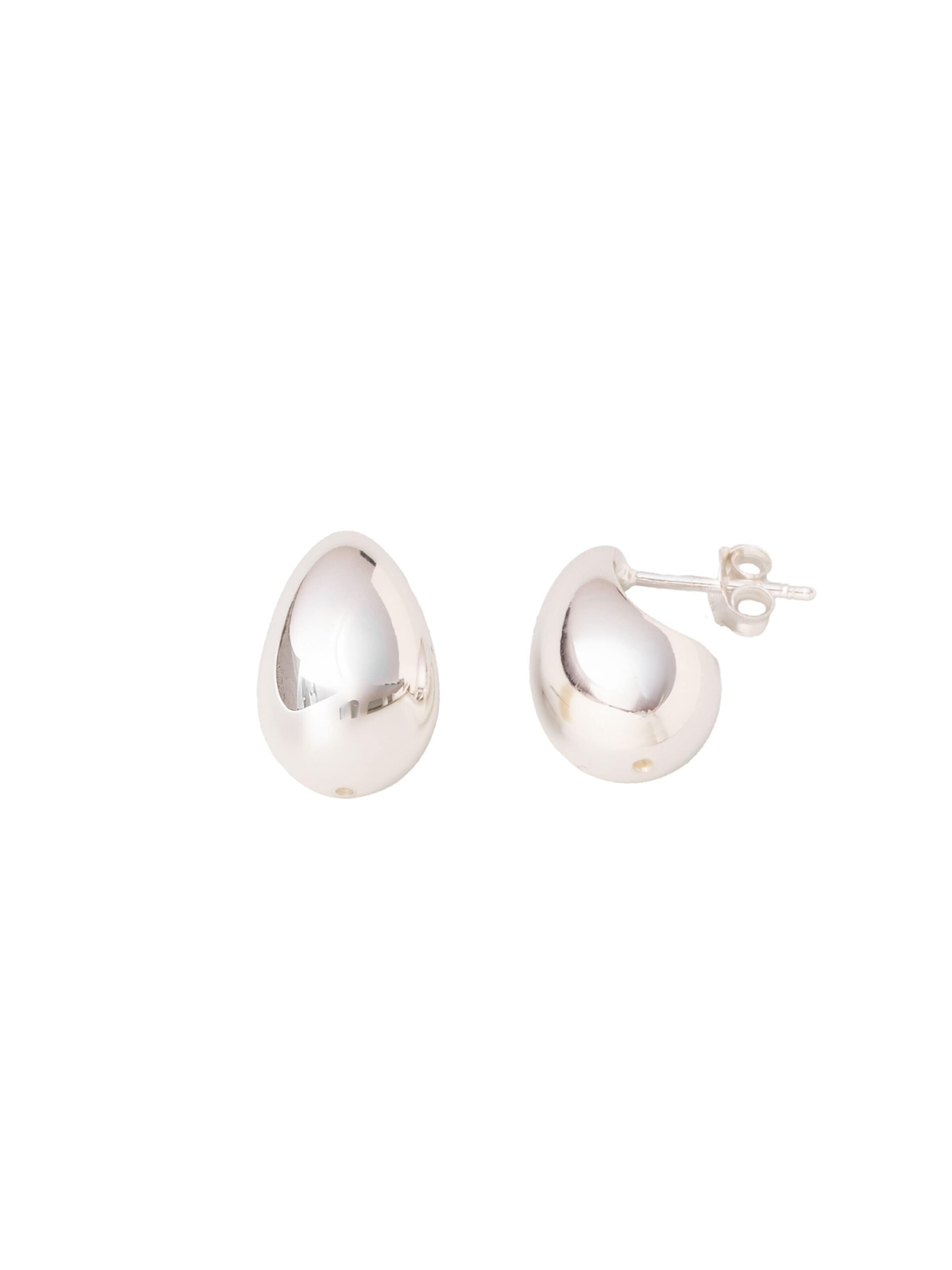 fejn Earrings in Silver: front
