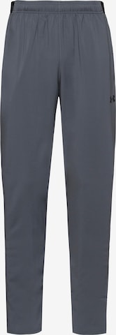 UNDER ARMOUR Tapered Sporthose in Grau: Vorderseite