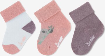 STERNTALER Socken in Lila: predná strana