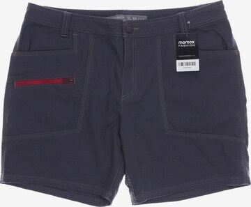 ICEBREAKER Shorts in XXXL in Grey: front