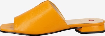 Högl Mules in Orange