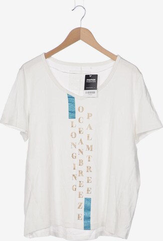 SAMOON Top & Shirt in XXXL in White: front