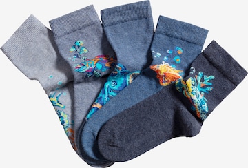 H.I.S Socken in Blau: predná strana