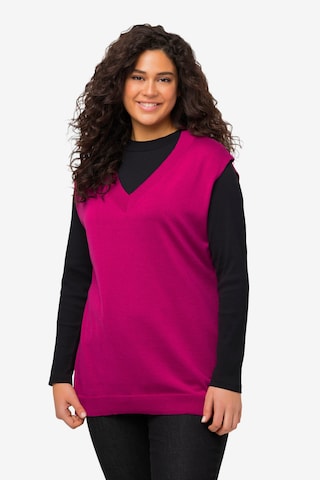 Ulla Popken Sweater in Pink: front