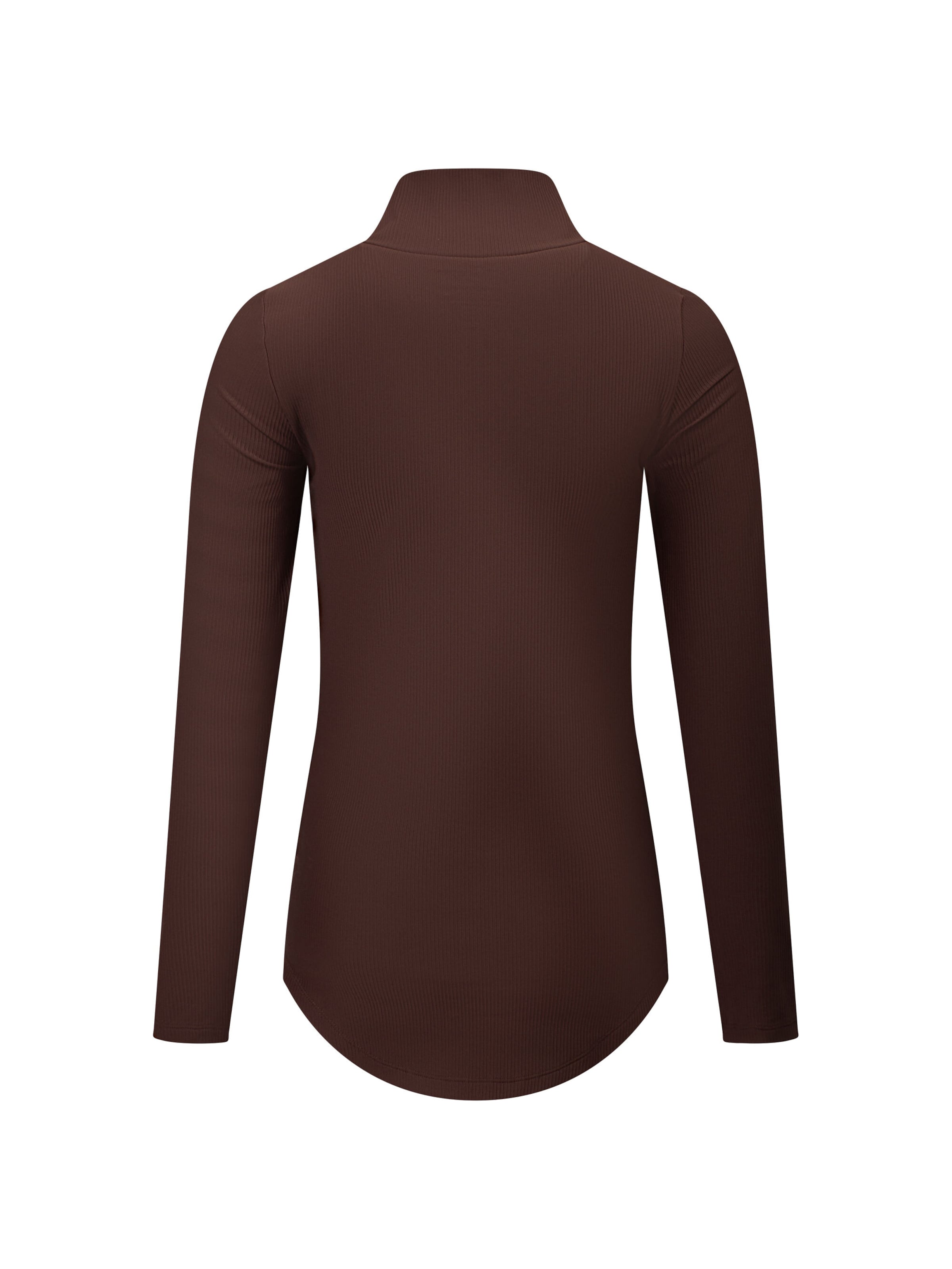 Eivy Performance shirt 'Journey' in Brown