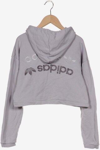 ADIDAS ORIGINALS Sweatshirt & Zip-Up Hoodie in XS in Grey