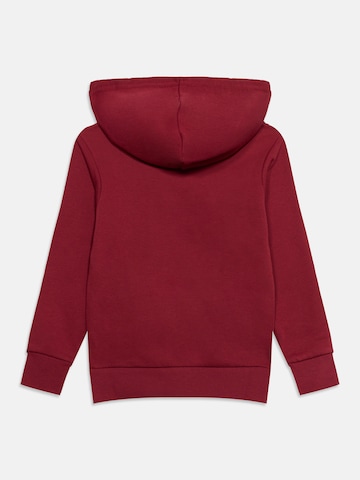 Felpa di Champion in rosso