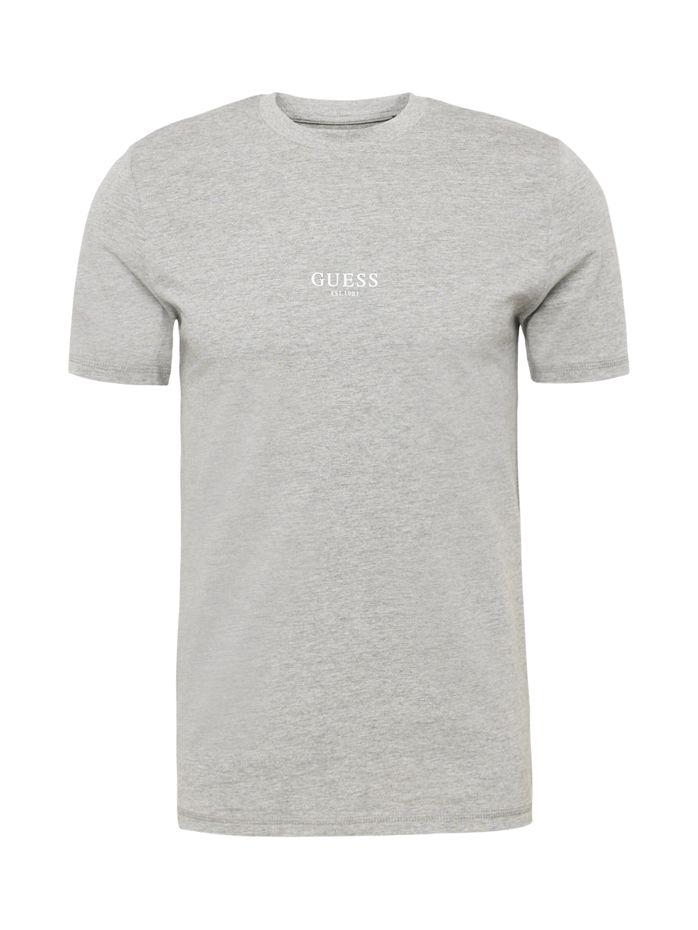 T-Shirt 'Aidy' GUESS en gris : devant