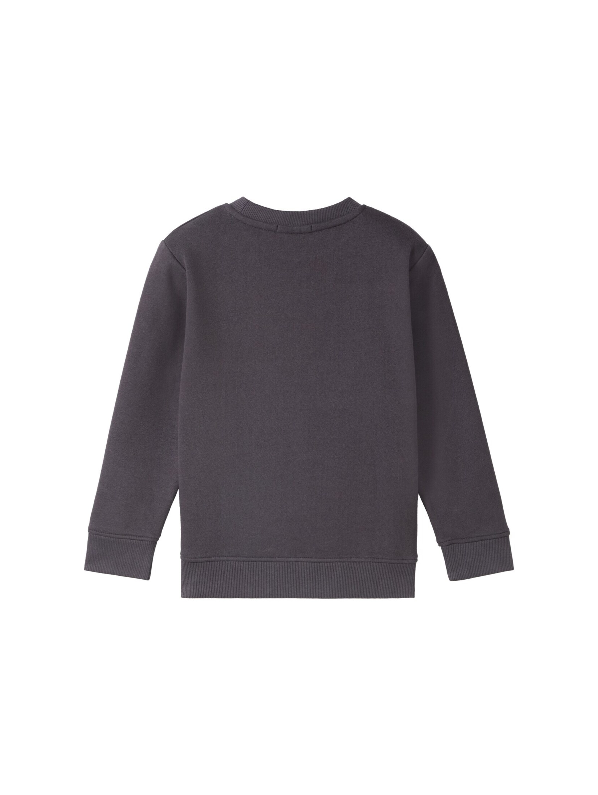 TOM TAILOR Sweatshirt in Grijs