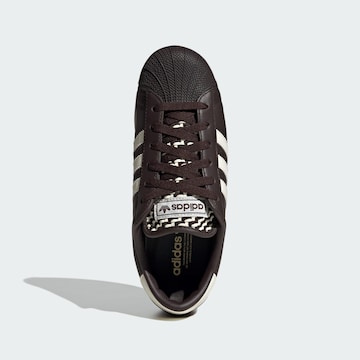 Baskets basses 'Superstar Lo Pro' ADIDAS ORIGINALS en marron