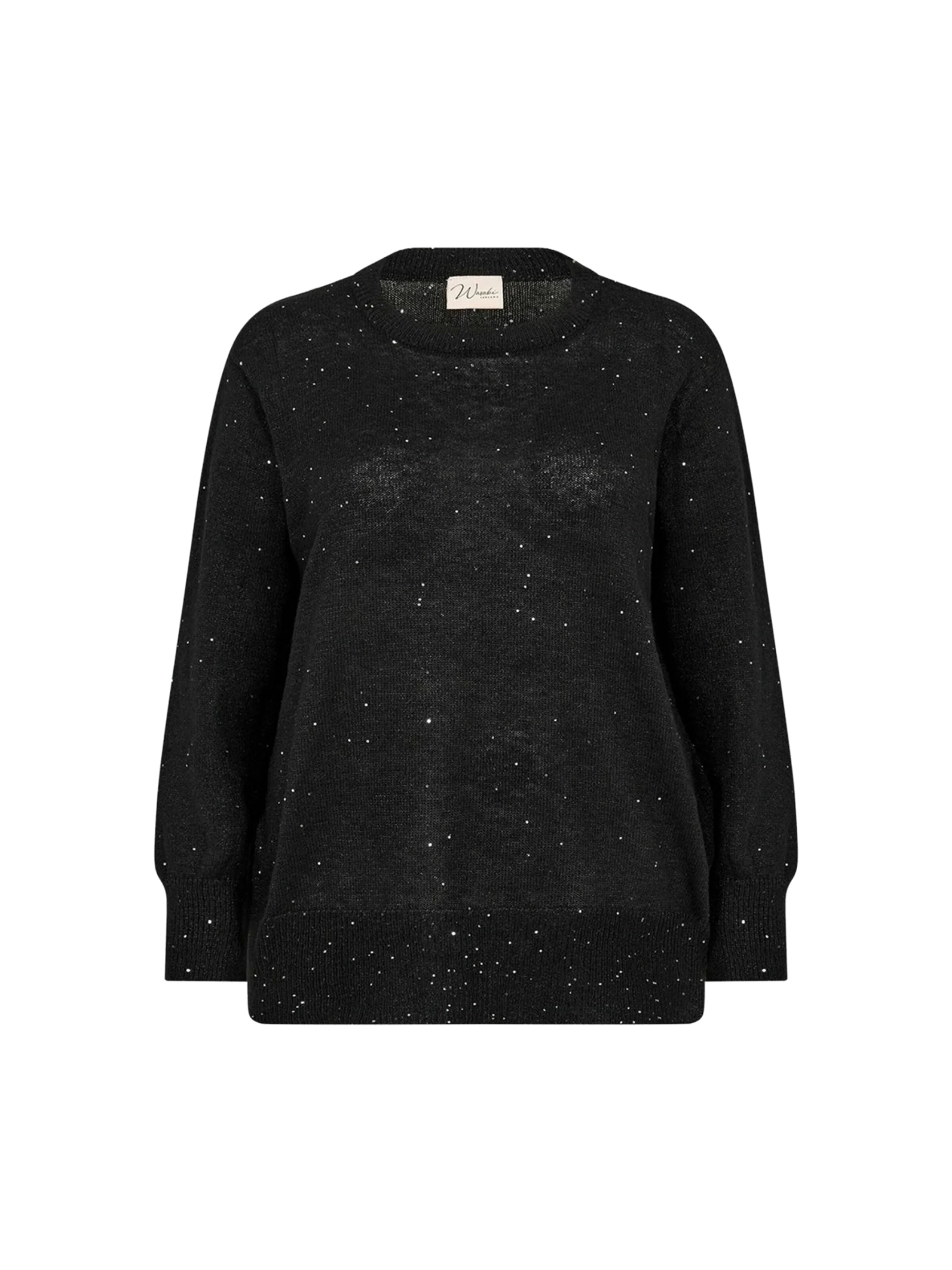 Wasabi Concept Trui 'Klio' in Zwart: voorkant