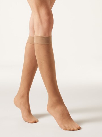 CALZEDONIA Knee High Socks in Beige: front