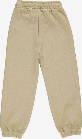regular Pantaloni di Müsli by GREEN COTTON in beige