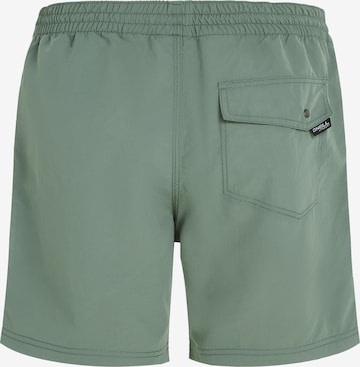 O'NEILL Board Shorts in Green