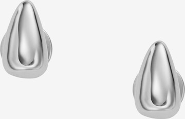 SKAGEN Earrings in Silver: front