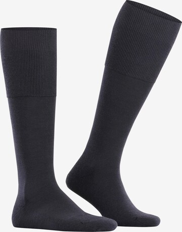 FALKE Knee High Socks 'Airport Plus' in Blue: front