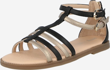 GEOX Sandals in Black: front