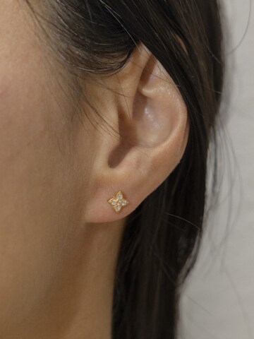 Boucles d'oreilles caï en or : devant