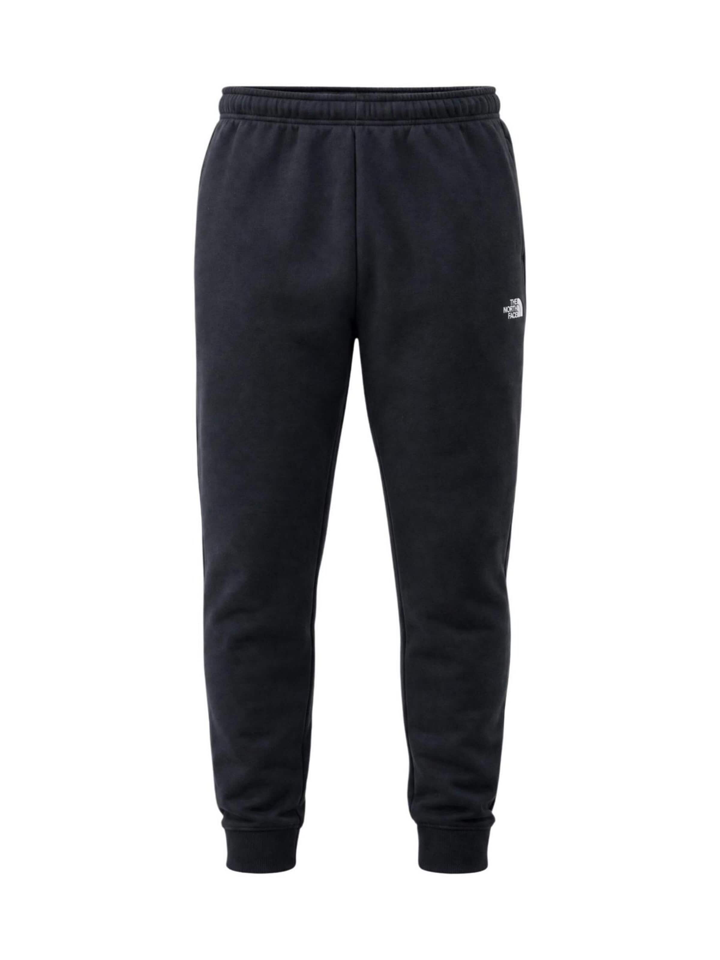 regular Pantaloni sportivi di THE NORTH FACE in nero: frontale