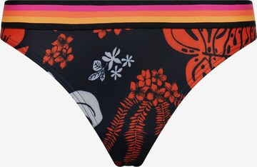 Superdry Triangel Bikinitop in Blauw: voorkant