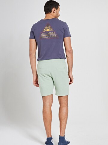 Shiwi Regular Shorts 'Mavis' in Grün