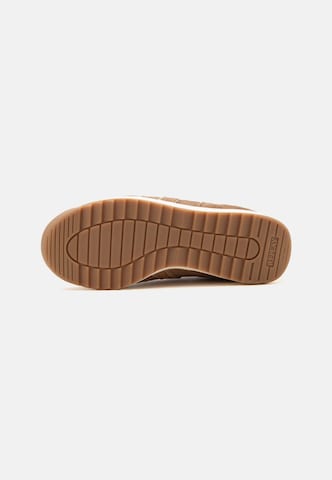 REPLAY Låg sneaker i brun