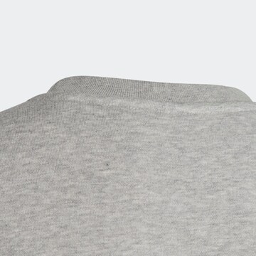 ADIDAS ORIGINALS Sweatshirt 'Adicolor Crew' in Grey