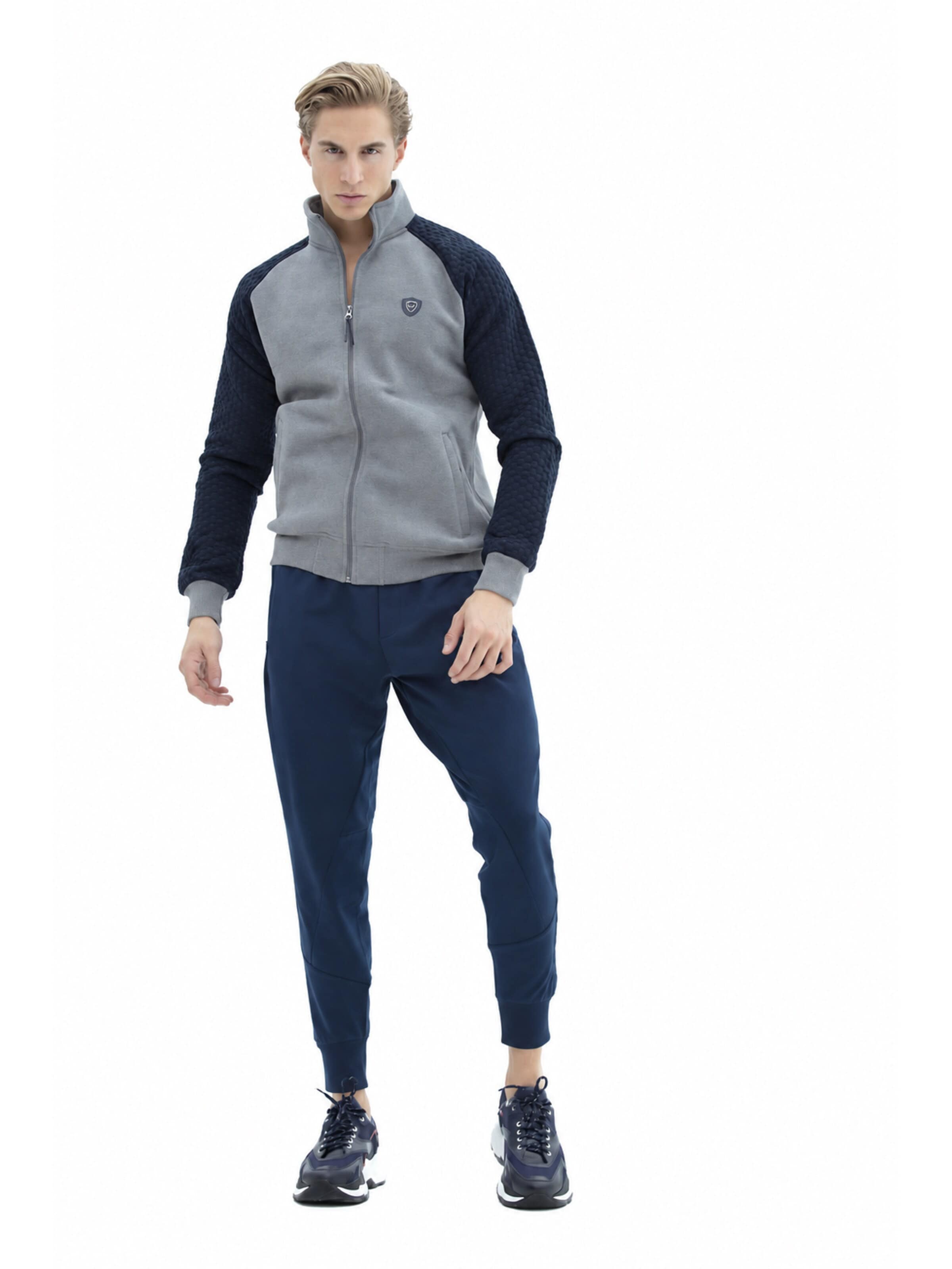 SCR. Sports sweat jacket 'LEBO' in Grey