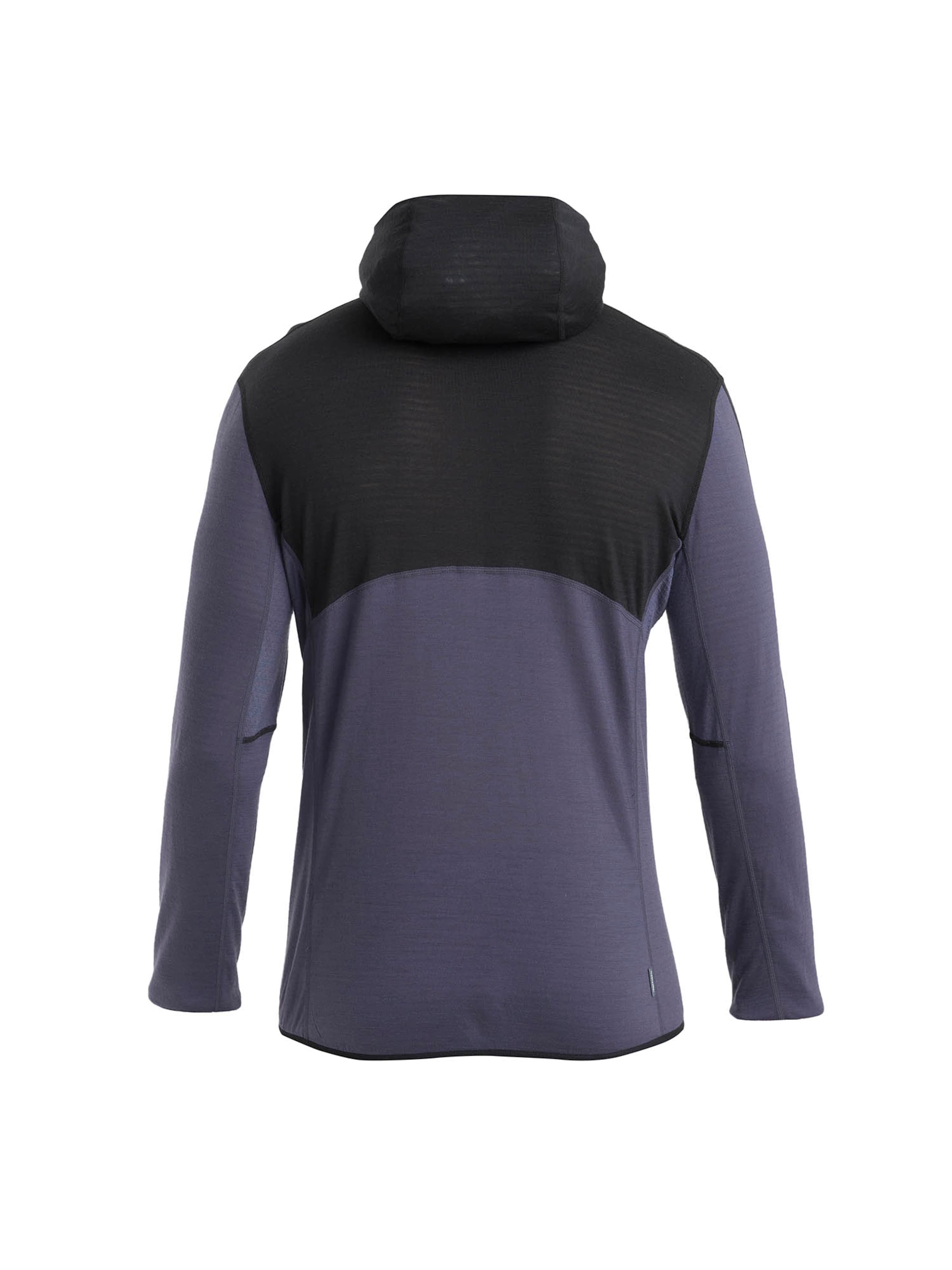 ICEBREAKER Funktsionaalne fliisjakk 'Descender', värv segavärvid