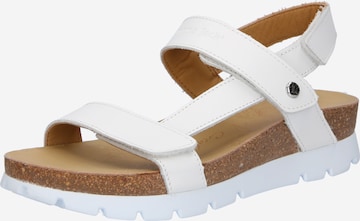 PANAMA JACK Sandals 'Selma B5' in White: front