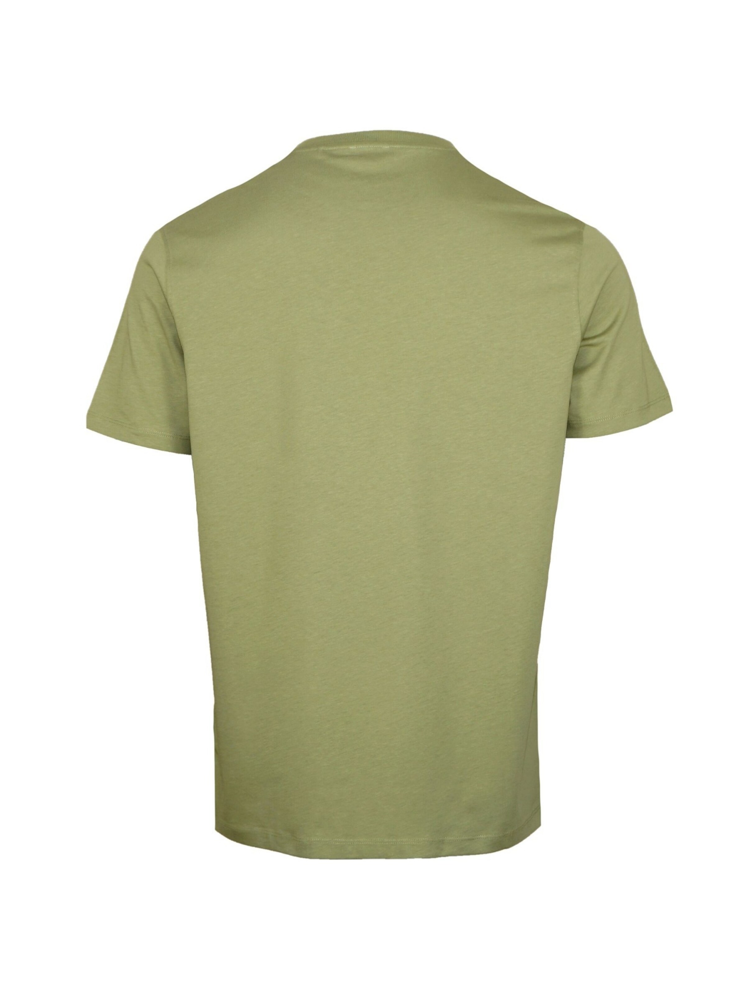 U.S. POLO ASSN. Shirt in Groen