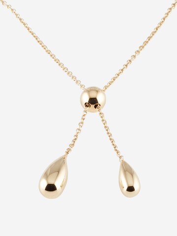 Collana di Calvin Klein in oro